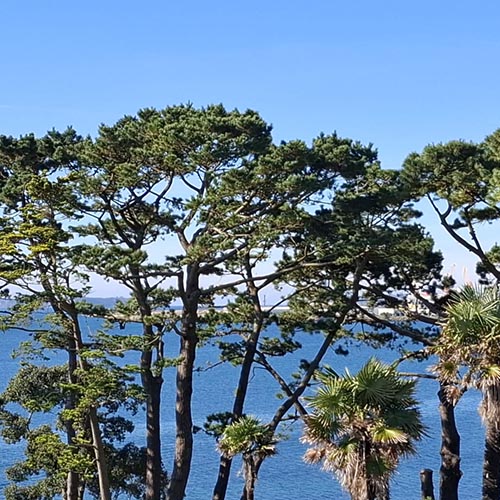 Image 04 de la galerie - Arbres-Eco