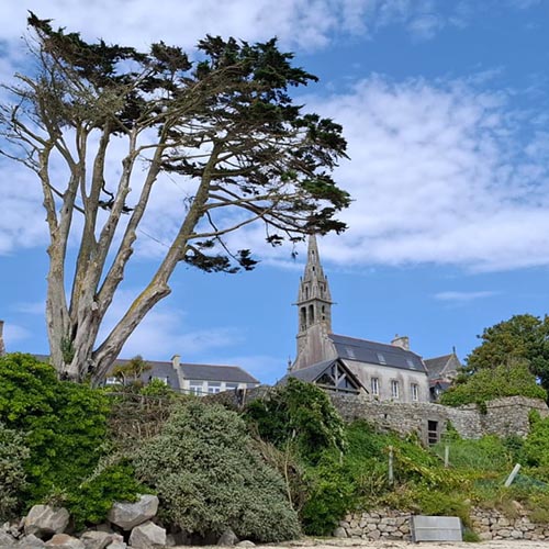 Image 02 de la galerie - Arbres-Eco