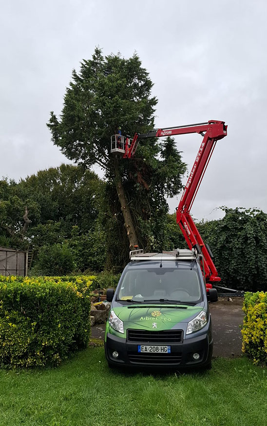 Fourgon devant une nacelle déployée près d'un arbre