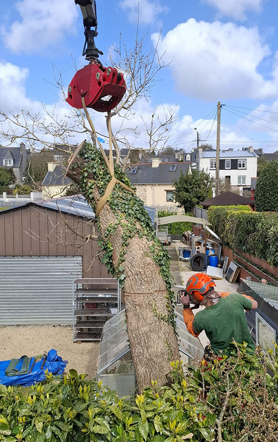 Démontage du tronc