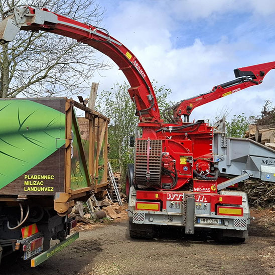 Broyeur de Arbres-Eco